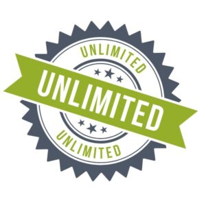 bezterminowy dostęp